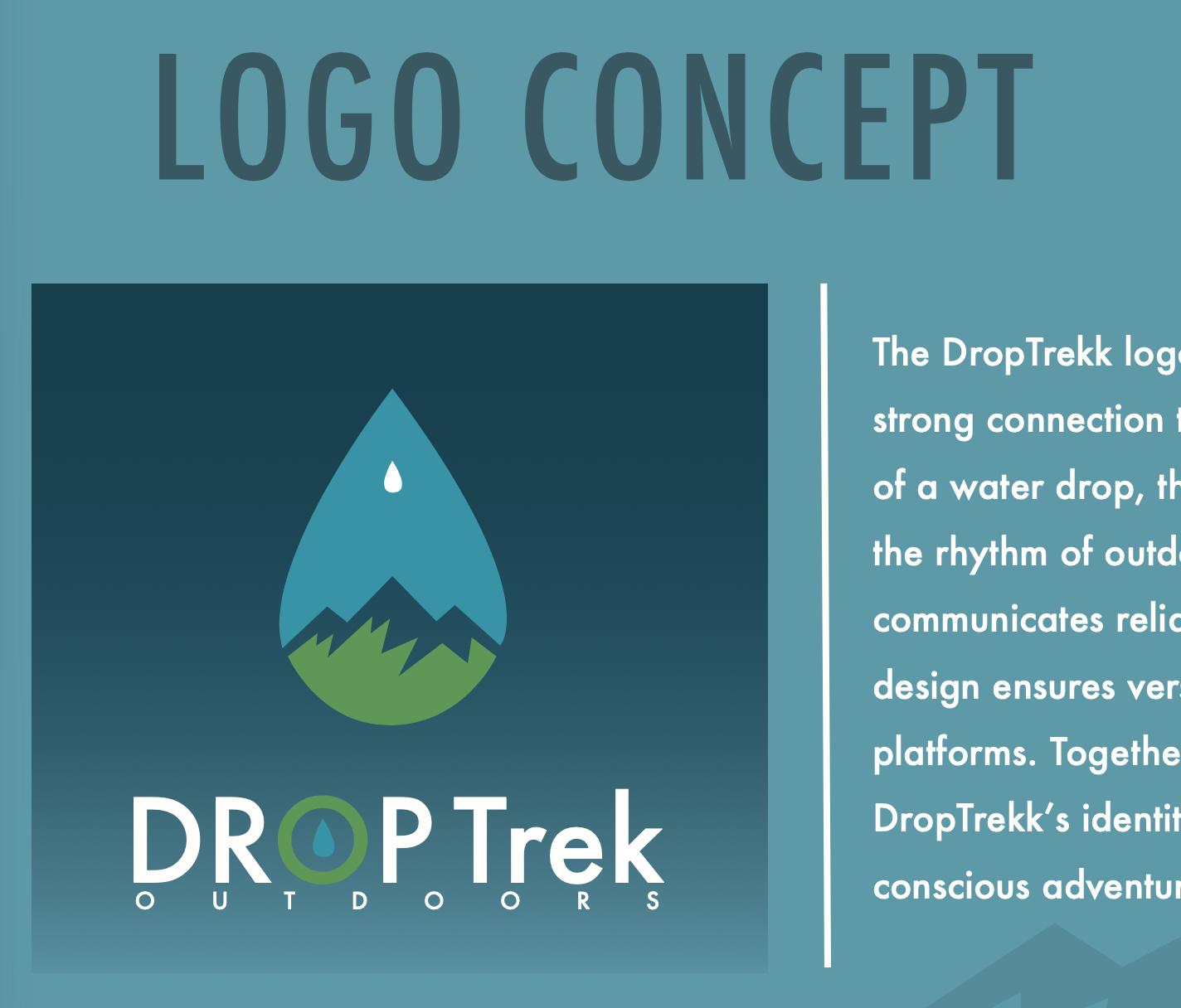 DropTrek brandbook page screenshot 2